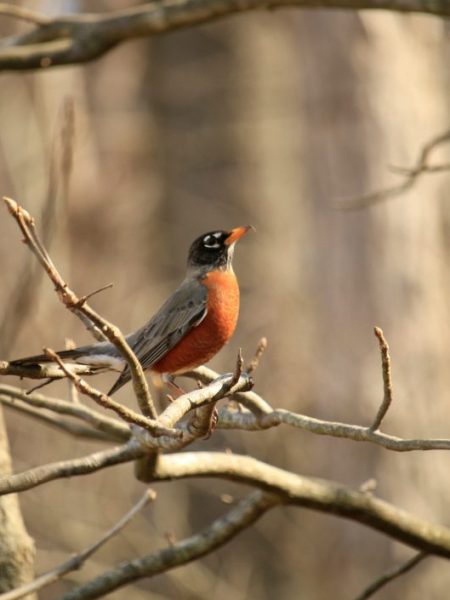 Sleeplessness, Wrestlings, & the Hard-Wire of&nbsp;Salvation