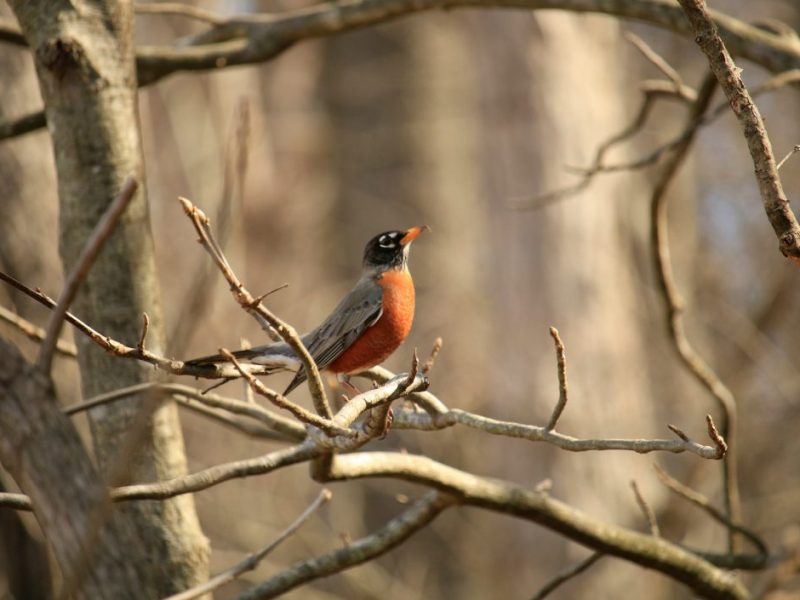 Sleeplessness, Wrestlings, & the Hard-Wire of&nbsp;Salvation